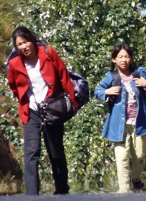 美国婷婷